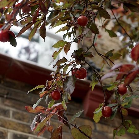 Luxury London Garden Home Sleep 7, 2 Mins To Metro エクステリア 写真