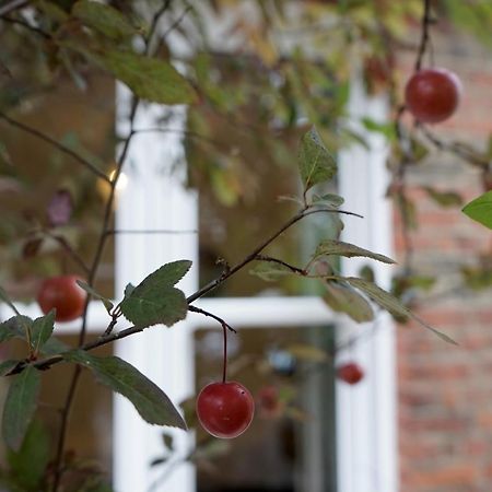 Luxury London Garden Home Sleep 7, 2 Mins To Metro エクステリア 写真