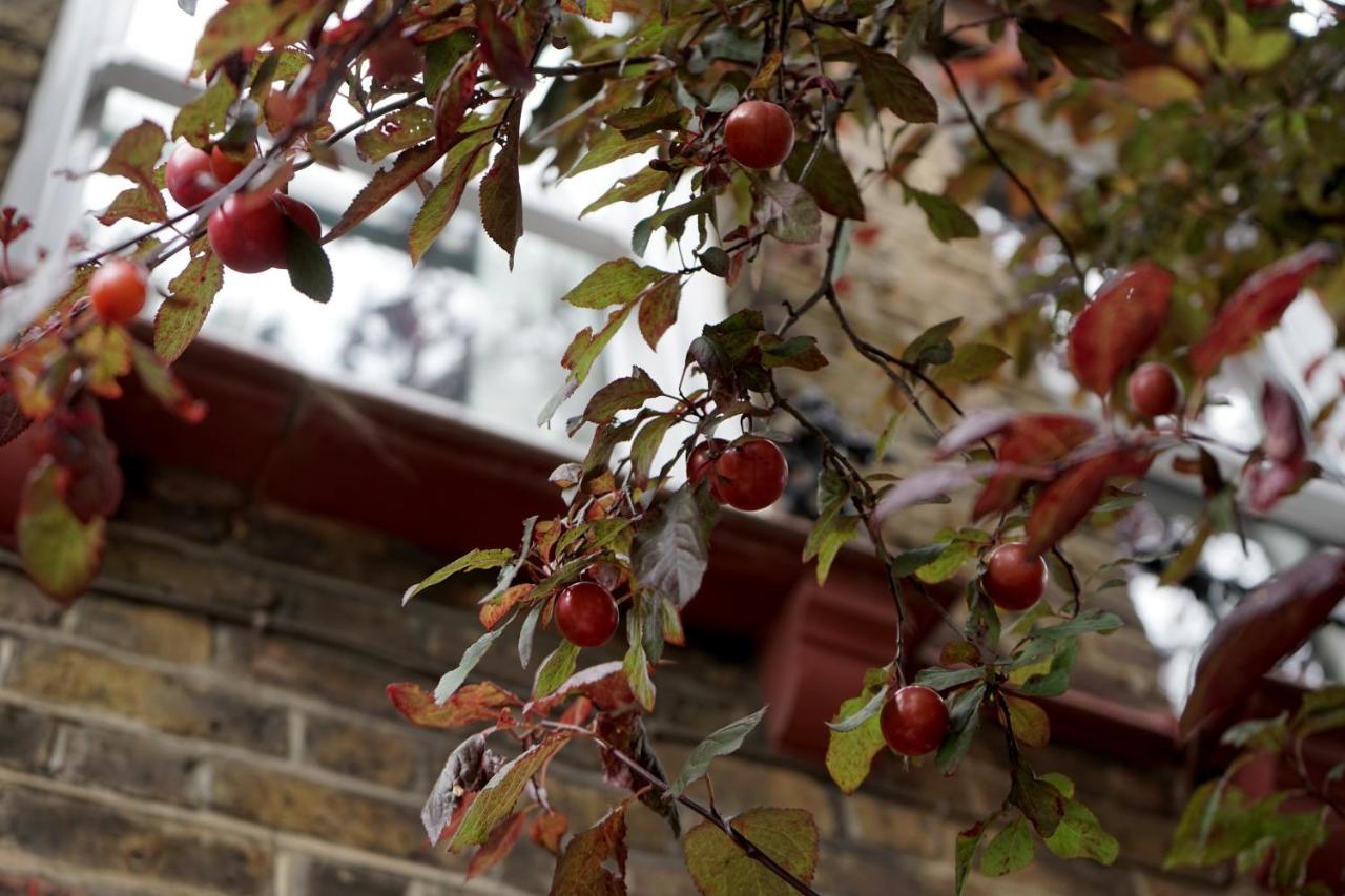 Luxury London Garden Home Sleep 7, 2 Mins To Metro エクステリア 写真