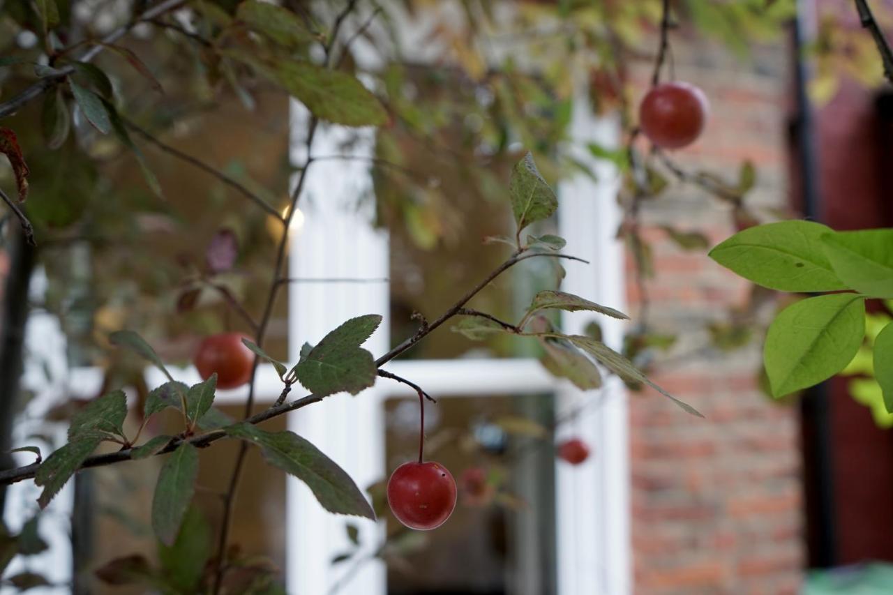 Luxury London Garden Home Sleep 7, 2 Mins To Metro エクステリア 写真